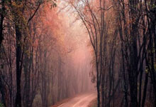 詹姆斯,再创一纪录!.