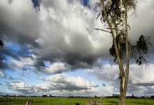 12战9胜!步行者险被篮网20分逆转 哈利伯顿复出16+8+12西卡26分.